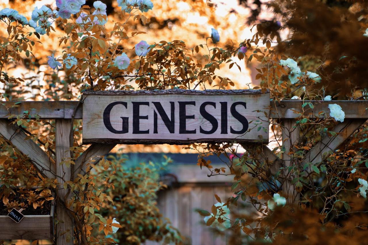 Genesis 부쇼텐 외부 사진